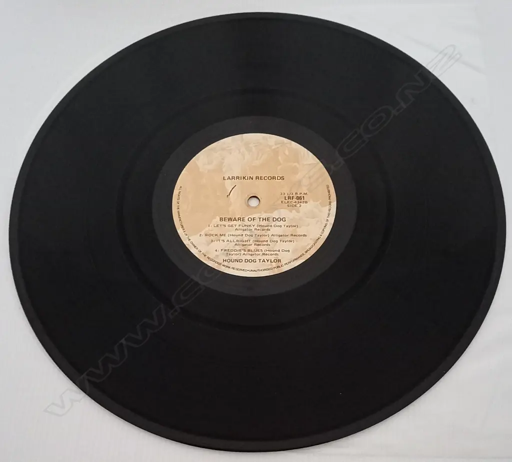 Hound Dog Taylor & The House Rockers, Beware Of The Dog! Image 1++